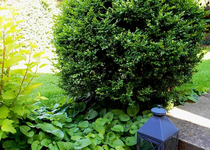 Gyoengyszem Vendeghaz Eğri