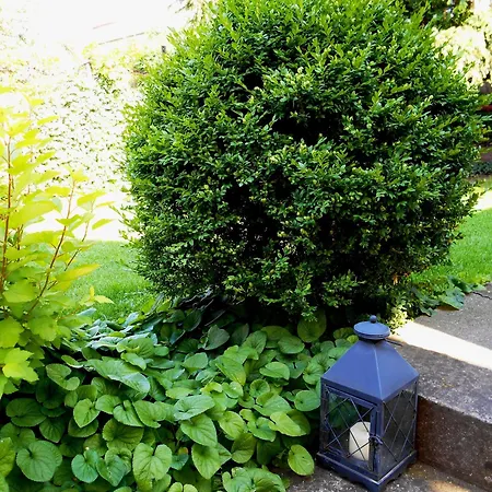 Gyoengyszem Vendeghaz Έγκερ