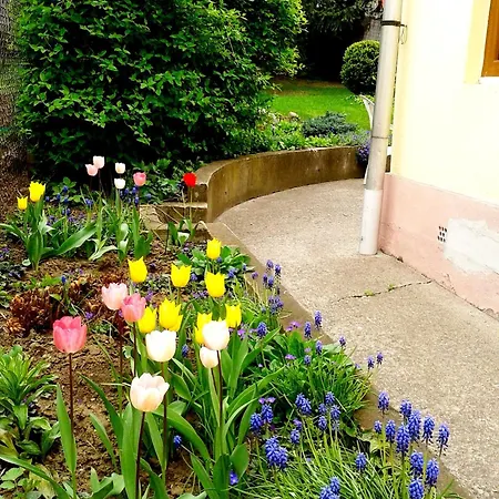 招待所 明珠旅馆