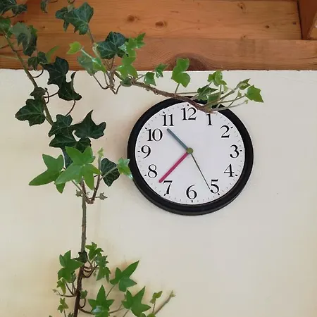 Gyoengyszem Vendeghaz Έγκερ