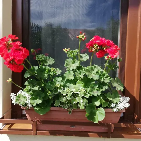 Gyoengyszem Vendeghaz Έγκερ