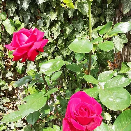 Gyoengyszem Vendeghaz