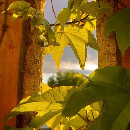 明珠旅馆 招待所 埃格尔