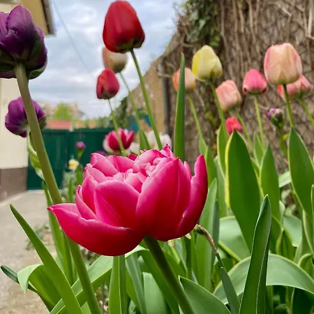 明珠旅馆 招待所 3*