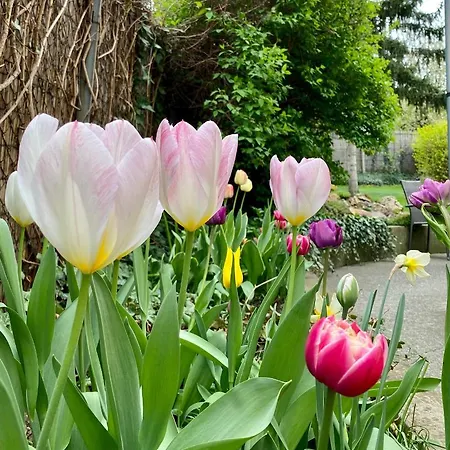 招待所 明珠旅馆 埃格尔