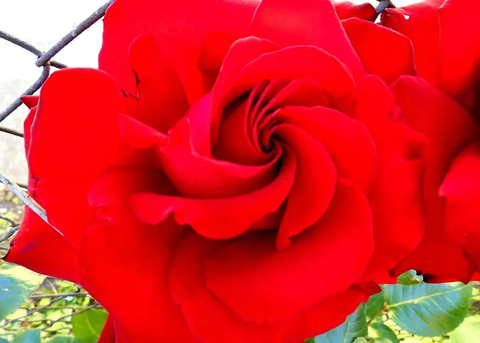 Gyoengyszem Vendeghaz