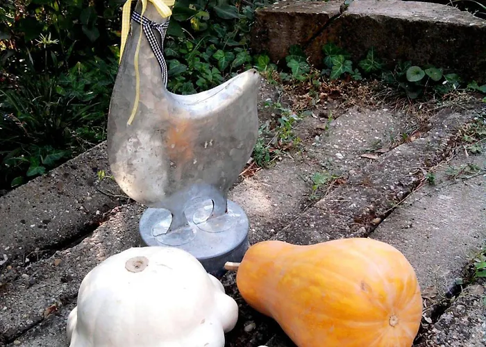 بيت ضيافة Gyoengyszem Vendeghaz 3*