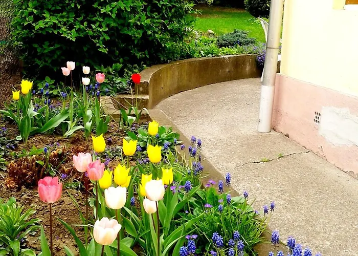 بيت ضيافة Gyoengyszem Vendeghaz