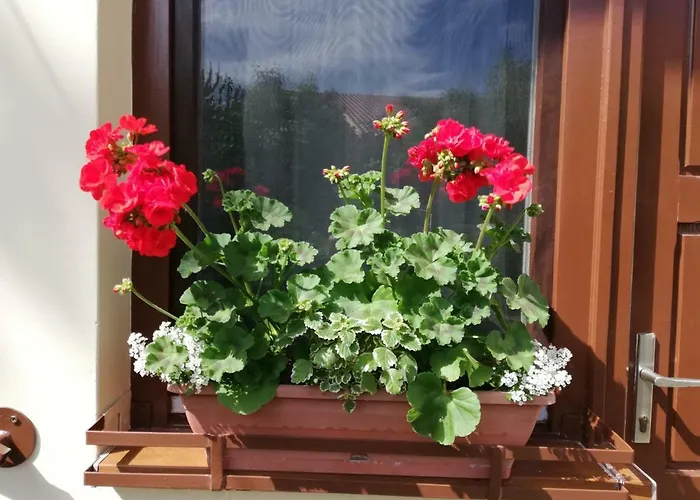 Gyoengyszem Vendeghaz Еґер