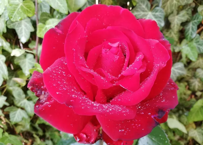 Gyoengyszem Vendeghaz بيت ضيافة إغير