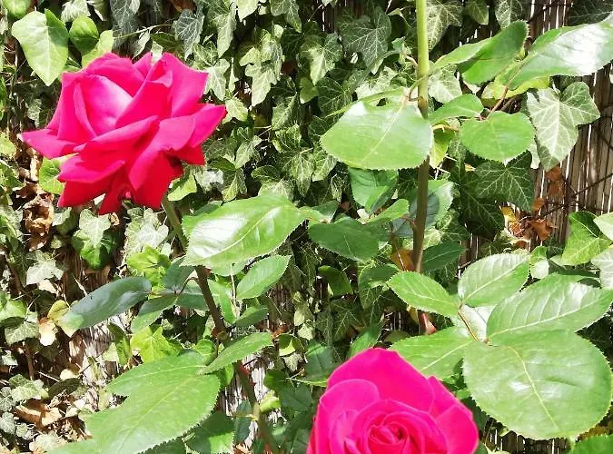 Gyoengyszem Vendeghaz