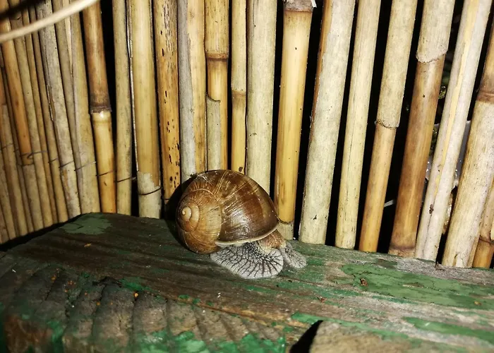 Gyoengyszem Vendeghaz Гостьовий будинок Еґер