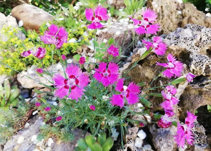 بيت ضيافة Gyoengyszem Vendeghaz