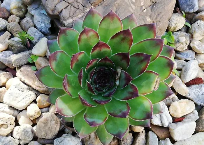 Gyoengyszem Vendeghaz 3* إغير