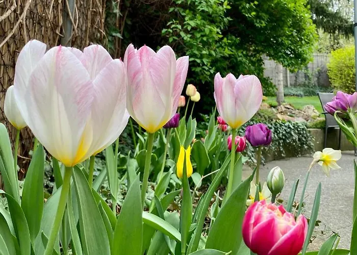 بيت ضيافة Gyoengyszem Vendeghaz إغير